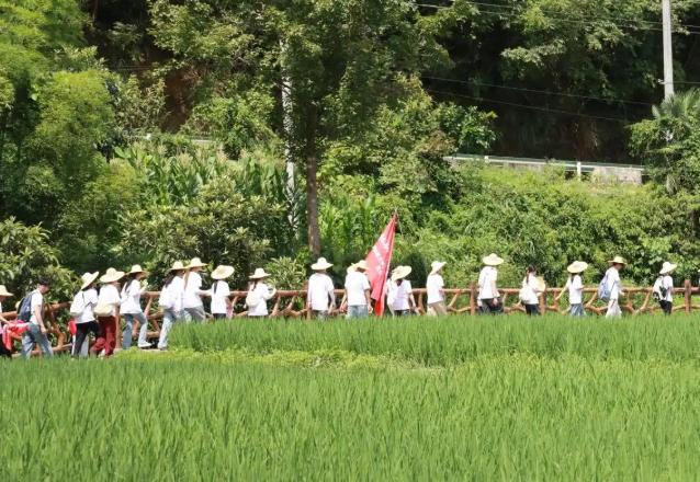在影响力持续扩大技能有温度育人无止境的数字教育